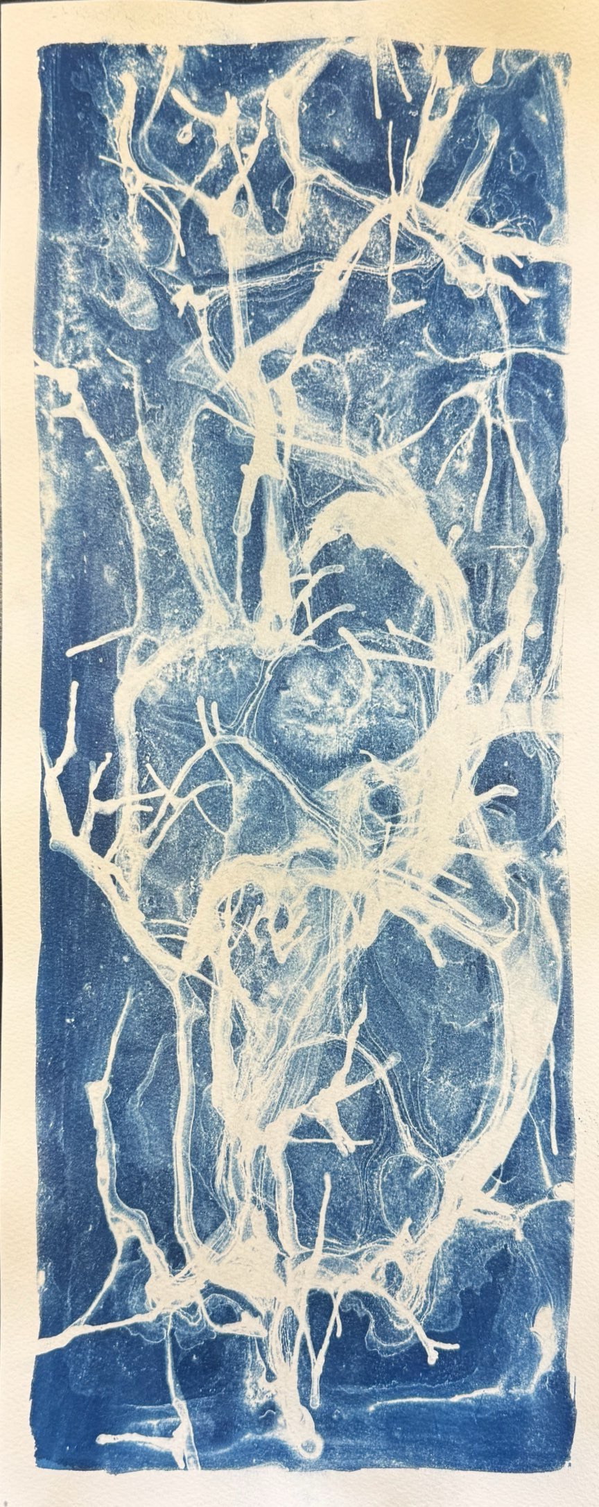 Cyanotype 3